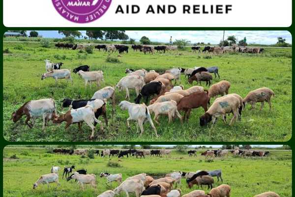 Malaysian Humanitarian Aid & Relief participated Qurban in Bangladesh, Kenya, Malaysia, Philippines, Somalia & Thailand