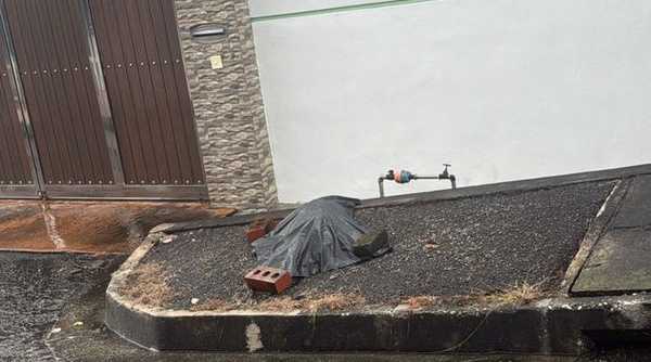 Seven dogs poisoned in Balik Pulau, report lodged