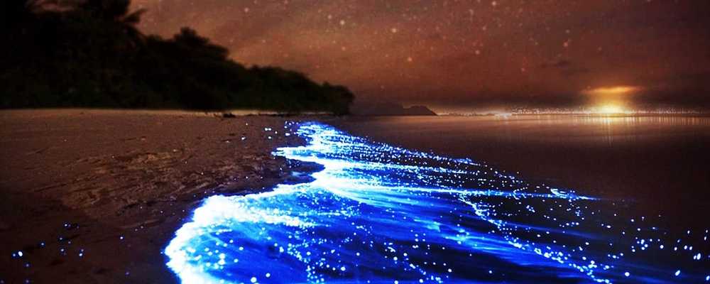 The Phenomenon Of ‘Blue Tears’ In 3 Locations in Malaysia that Can Give you the ‘Feel’ of Vacationing Overseas! #CutiCutiLocal