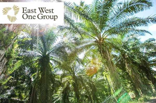 East West One Group种植者会议成功落幕  复苏与重组活动提案获通过