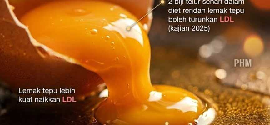 Kolestrol dalam telur