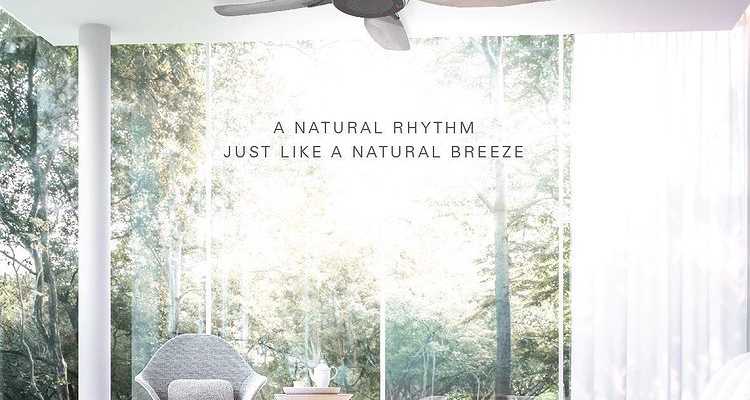 5 Reasons To Get The Nodoka Smart Ceiling Fan