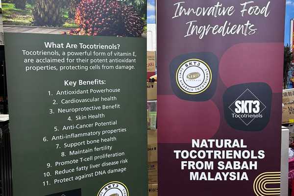 The Shifting Sands of the Palm Oil Market: A Crisis or Temporary Blip?