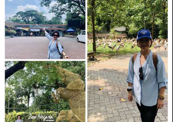 Zoo Negara, Malaysia Biggest Zoo #TheGoodStuff
