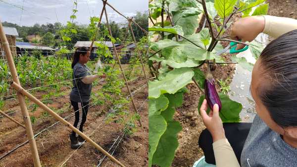 Brewing Hope: HEINEKEN Cares & Epic build long-term food security for Orang Asli communities