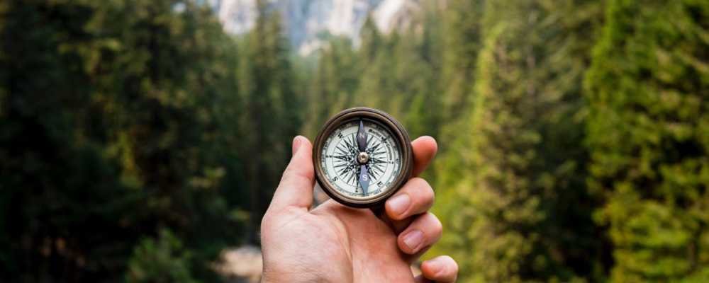 Should You Follow Your Passion?