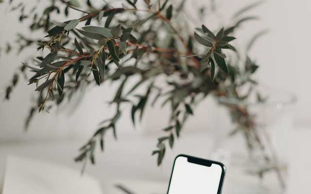 Aplikasi Berguna untuk Telefon Pintar