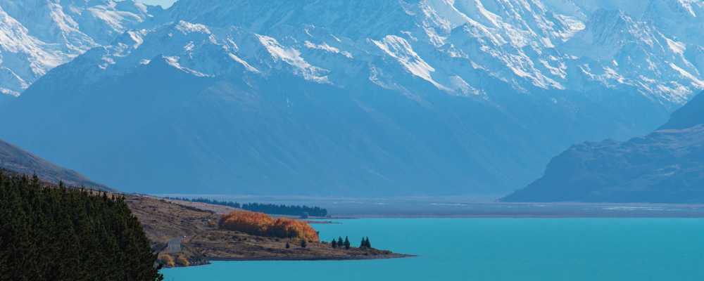 5月最新的入境纽西兰(New Zealand)攻略!