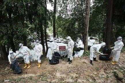 Kencing Tikus: Tragedi Lubuk Yu Dan Pengajarannya Untuk Kita