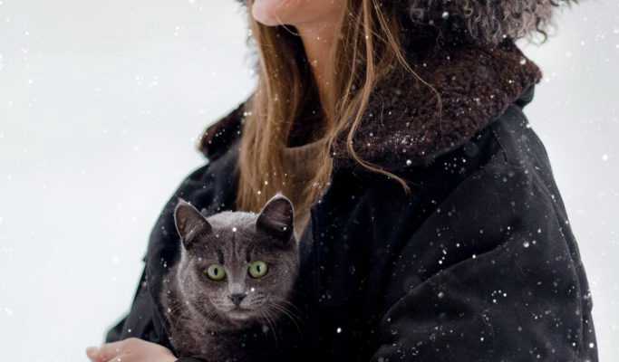 How to Read Your Cat’s Eye Language.