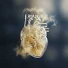High Cholesterol: The Silent Problem You Can’t Feel