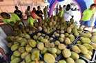 #EiTahuTak | Malaysia’s Golden Durian Dream Musang King Turned From RM90 to RM9
