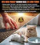Haiwan lagi rasa kepanasan dari manusia?