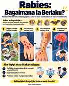 Rabies: Bagaimana ia berlaku?