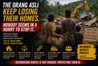 The Orang Asli Keep Losing Their Homes. Nobody Seems in a Hurry to Stop It.