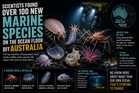 Scientists Found Over 100 New Marine Species on the Ocean Floor Off Australia
