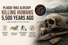 Plague Was Already Killing Humans 5,500 Years Ago, Long Before Cities Existed