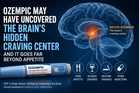 Ozempic May Have Uncovered the Brain's Hidden Craving Center, and It Goes Far Beyond Appetite