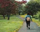 Walking: The Closest Thing We Have to a Wonder Drug