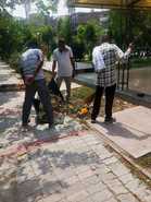 Tribune Impact: MC officials launch cleanliness drive at neglected Tikoni Park