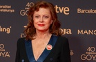 Susan Sarandon claims movies have been 'taken away' due to her political stance