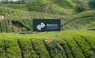 Lebih separuh pelabur institusi utama Malaysia komited tingkat pelaburan isu iklim, atasi purata Asia - AIGCC