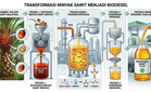Kenaikan campuran biodiesel kepada B15 beri manfaat kepada pengeluar, impak minimum kepada industri