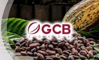 RHB Research: Kejatuhan mendadak harga koko dunia buka peluang pemulihan semula saham Guan Chong