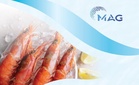 Mercury Securities: Gangguan bekalan dedak ternakan dikhuatiri tekan margin MAG