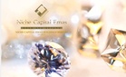 Rakan usaha sama Niche Capital Emas peroleh lesen interim kilang bahan kimia di Pahang