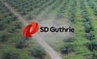 Keuntungan SD Guthrie susut hampir 30% bagi 1QFY26 berikutan harga sawit lemah, kata penganalisis