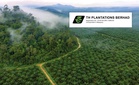Untung TH Plantations susut 11.2% kepada RM28.5 juta pada 1H 2026