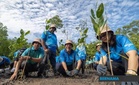 TNB perkukuh agenda ESG, tanam 25,000 pokok bakau