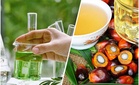PhytoGaia komersialkan bahan sawit Malaysia dalam industri kecantikan dan kesihatan ke pasaran global