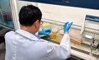 USM, Pharm-D HS pacu pengkomersialan teknologi postbiotik tempatan berasaskan durian Musang King, kubis