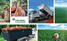 Pengeluaran buah tandan segar dijangka memuncak 4Q26, Hap Seng Plantations kekal pilihan 'Beli' - RHB Research