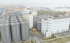 Malayan Four Mills perluas kapasiti kilang di Vietnam sebanyak 25% mulai 4QFY26 - HLIB