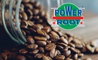 Gangguan logistik punca keuntungan bersih Power Root jatuh 46% kepada RM18 juta bagi FY26