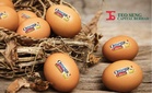 Ketiadaan subsidi telur ayam punca untung Teo Seng jatuh 64% kepada RM14.8 juta bagi 1QFY26