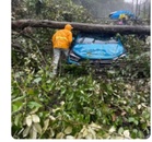 Hujan Lebat, Lembah Klang Dilanda Banjir Kilat, Pokok Tumbang