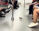 MRT Terima ‘Penumpang’ Tambahan, Tikus Berkeliaran Dalam Tren Laluan Timur-Barat 