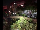 Pokok Gergasi Lebih 150 Tahun Tumbang, Warga Emas Nyaris Maut