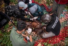 Kebakaran Hutan: Orang Utan, Anak Berjaya Diselamat