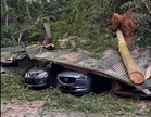 Pokok Tumbang Di Damansara, Cetus Kerosakan Harta Benda