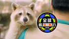 32强预测15中12 Almond命中率保持80%