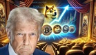 特朗普迷因币崩跌97%  散户血本无归