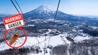 蟑螂杀进北海道!暖化让它们活下来了