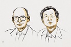 【诺贝尔奖】破解“镜像分子”百年谜团    法日学者共获化学奖