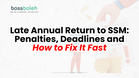 Late Annual Return to SSM: Penalties, Deadlines and How to Fix It Fast