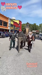 Guna Gajah Dalam Program Komuniti MADANI, PERHILITAN tampil beri penjelasan